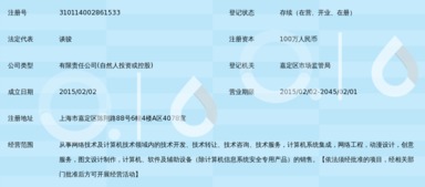 上海游英網(wǎng)絡(luò)科技有限公司 立足上海，深耕數(shù)字技術(shù)服務(wù)